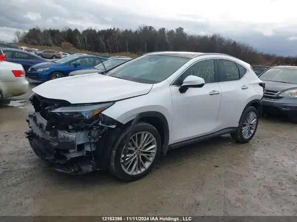 2T2GGCEZXRC057484 2024 LEXUS NX - Image 2