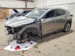 2T2GKCEZ0PC010170 2023 LEXUS NX