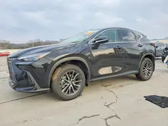 2T2GKCEZ0RC021561 2024 LEXUS NX