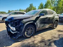 2T2GKCEZ0RC027389 2024 LEXUS NX