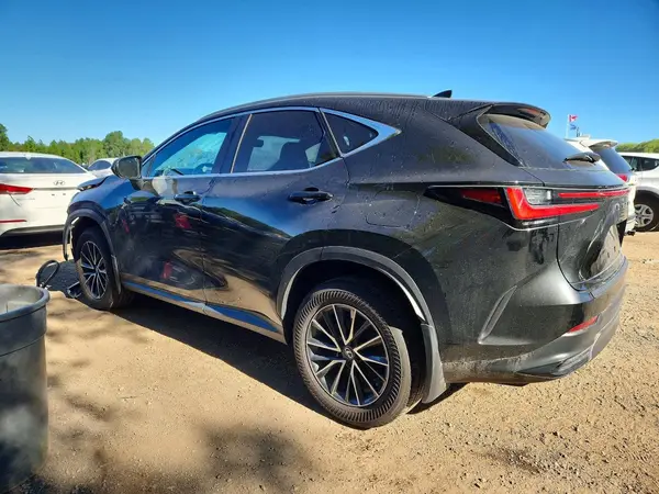 2T2GKCEZ0RC027389 2024 LEXUS NX - Image 2