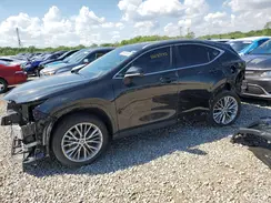 2T2GKCEZ0SC032453 2025 LEXUS NX