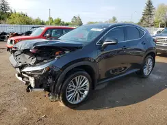 2T2GKCEZ0SC044649 2025 LEXUS NX