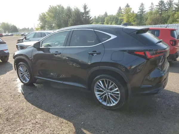 2T2GKCEZ0SC044649 2025 LEXUS NX - Image 2