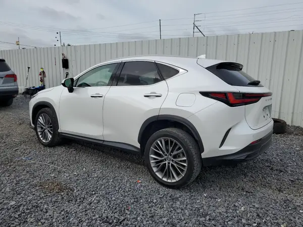 2T2GKCEZ1NC004648 2022 LEXUS NX - Image 2