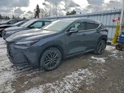 2T2GKCEZ1NC006402 2022 LEXUS NX