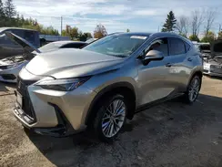 2T2GKCEZ1NC007775 2022 LEXUS NX