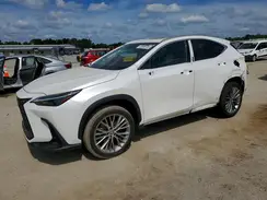 2T2GKCEZ1NC008988 2022 LEXUS NX