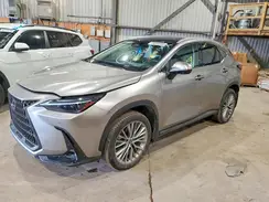 2T2GKCEZ1RC020290 2024 LEXUS NX