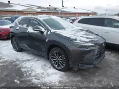 2T2GKCEZ1RC021830 2024 LEXUS NX
