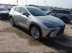 2T2GKCEZ1SC036494 2025 LEXUS NX