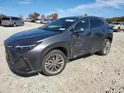 2T2GKCEZ1SC054929 2025 LEXUS NX