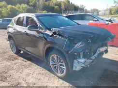 2T2GKCEZ1TC064426 2026 LEXUS NX