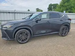 2T2GKCEZ2NC006764 2022 LEXUS NX