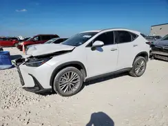 2T2GKCEZ2PC010509 2023 LEXUS NX