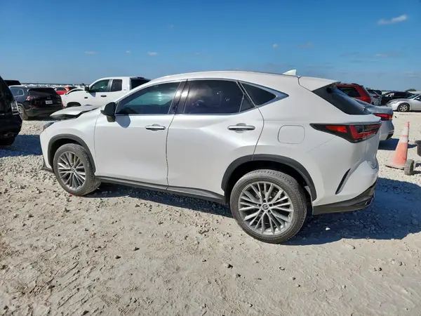 2T2GKCEZ2PC010509 2023 LEXUS NX - Image 2