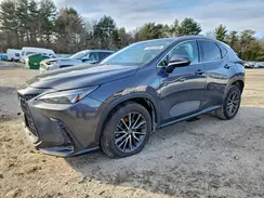 2T2GKCEZ2PC011546 2023 LEXUS NX