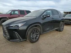 2T2GKCEZ2RC019097 2024 LEXUS NX