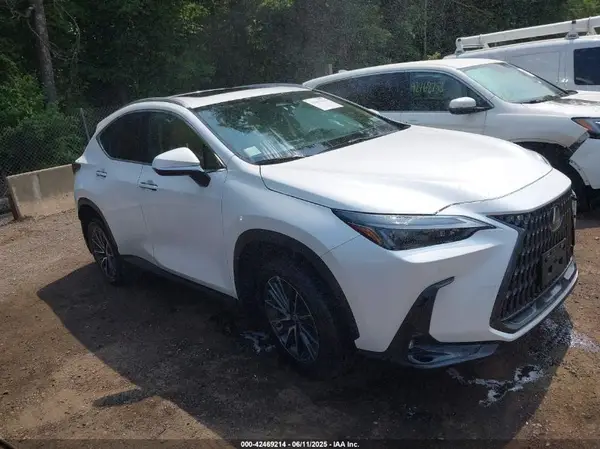 2T2GKCEZ2RC020010 2024 LEXUS NX - Image 1