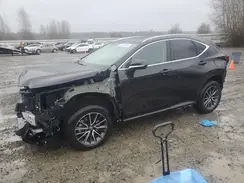 2T2GKCEZ2RC025823 2024 LEXUS NX