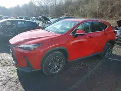2T2GKCEZ2RC028477 2024 LEXUS NX