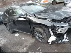 2T2GKCEZ2SC035791 2025 LEXUS NX