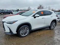 2T2GKCEZ3PC012026 2023 LEXUS NX