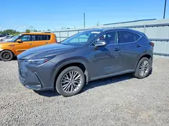 2T2GKCEZ3SC044595 2025 LEXUS NX