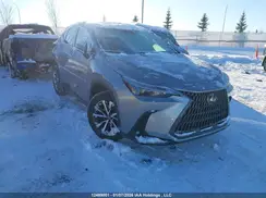 2T2GKCEZ4NC003056 2022 LEXUS NX