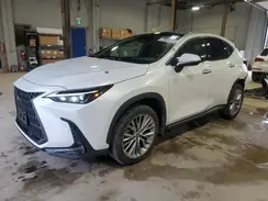 2T2GKCEZ4PC012004 2023 LEXUS NX