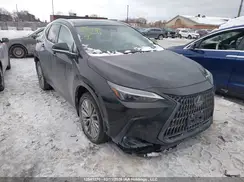 2T2GKCEZ4RC016699 2024 LEXUS NX