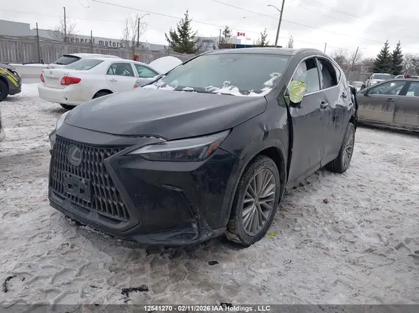 2T2GKCEZ4RC016699 2024 LEXUS NX - Image 2