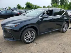 2T2GKCEZ4RC017495 2024 LEXUS NX
