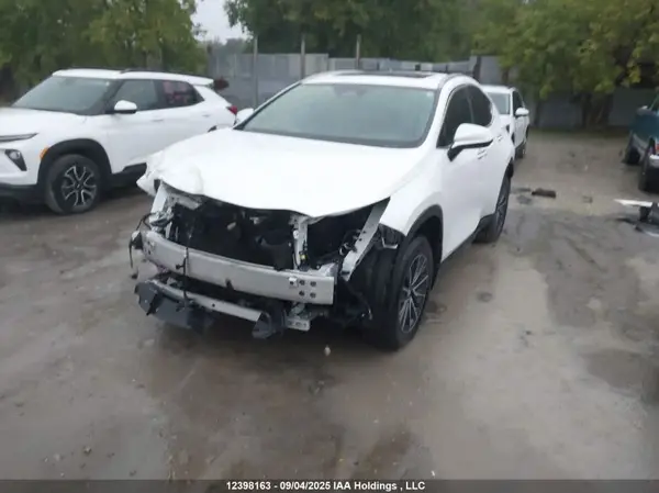 2T2GKCEZ4RC018193 2024 LEXUS NX - Image 2