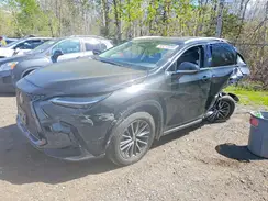 2T2GKCEZ4RC018212 2024 LEXUS NX