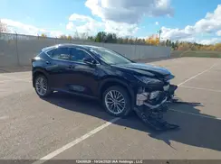 2T2GKCEZ4RC027959 2024 LEXUS NX