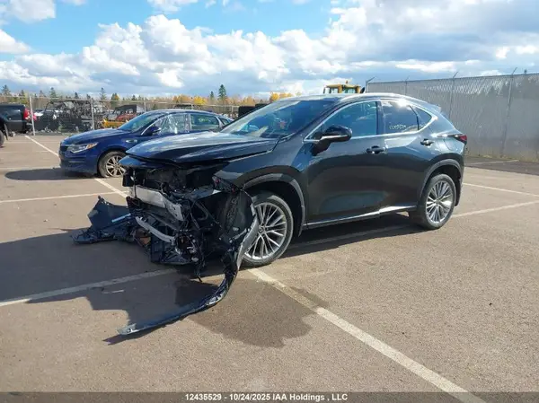 2T2GKCEZ4RC027959 2024 LEXUS NX - Image 2