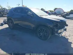 2T2GKCEZ4RC028741 2024 LEXUS NX