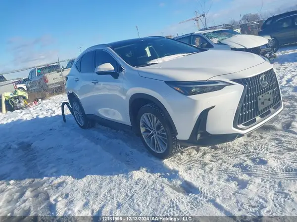 2T2GKCEZ4RC031140 2024 LEXUS NX - Image 1