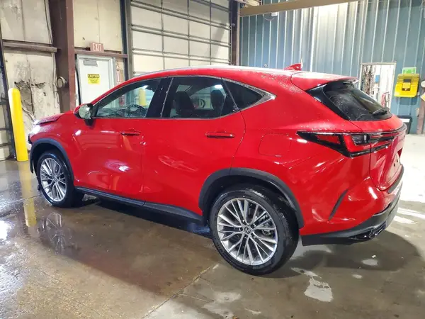 2T2GKCEZ4SC054911 2025 LEXUS NX - Image 2