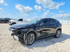 2T2GKCEZ5NC001994 2022 LEXUS NX