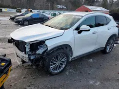 2T2GKCEZ5PC009919 2023 LEXUS NX