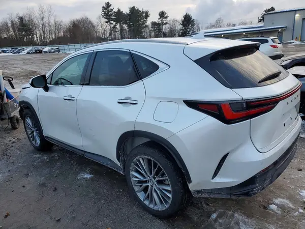 2T2GKCEZ5PC009919 2023 LEXUS NX - Image 2