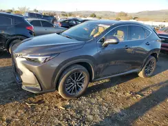 2T2GKCEZ5PC015106 2023 LEXUS NX