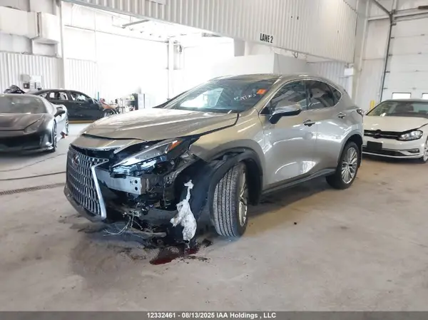 2T2GKCEZ5RC020227 2024 LEXUS NX - Image 2