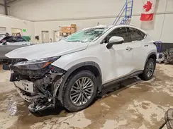 2T2GKCEZ5RC023354 2024 LEXUS NX
