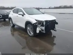 2T2GKCEZ5RC025363 2024 LEXUS NX
