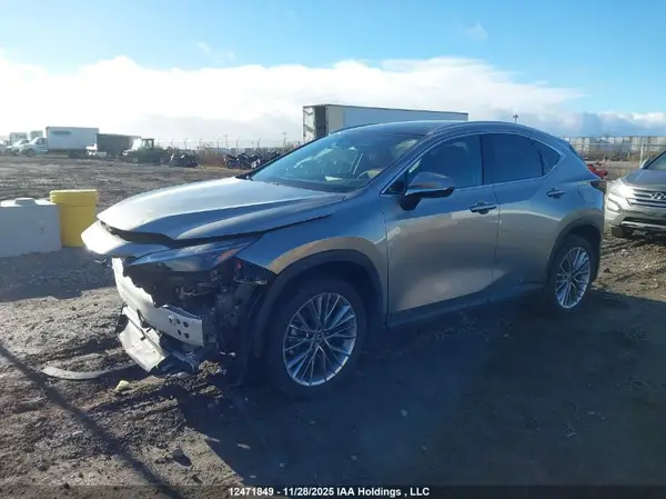 2T2GKCEZ5SC052018 2025 LEXUS NX - Image 2