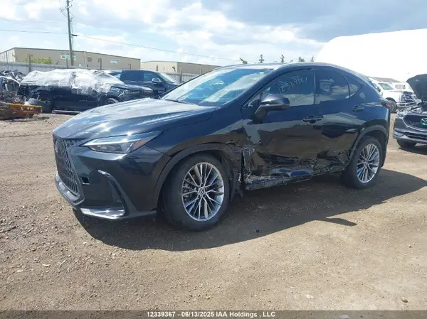 2T2GKCEZ6NC004113 2022 LEXUS NX - Image 2