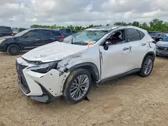 2T2GKCEZ6PC010206 2023 LEXUS NX